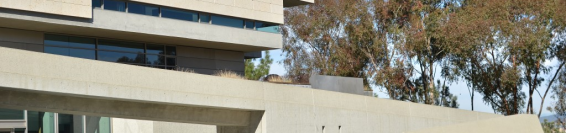The Neurosciences Institute (La Jolla, California)
